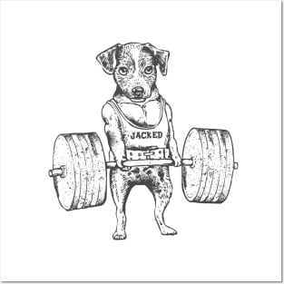 Jack Russell Terrier Lift Posters and Art